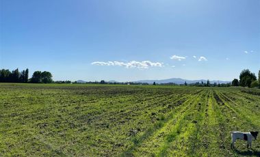 Agrícola en Venta en avenida esperanza