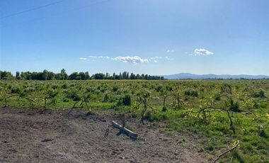 Agrícola en Venta en avenida esperanza