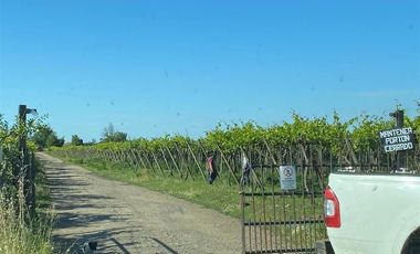 Agrícola en Venta en avenida esperanza
