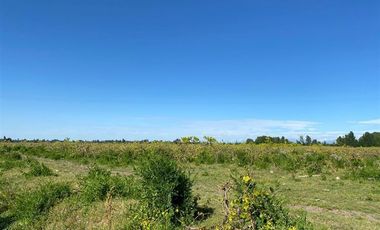 Agrícola en Venta en avenida esperanza
