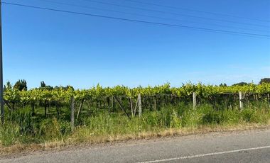 Agrícola en Venta en avenida esperanza