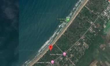 Beach Lot for Sale in San Vicente, Palawan