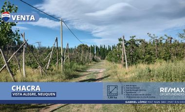 VENTA Chacra cerezas 7,99 ha Vista Alegre, Neuquén