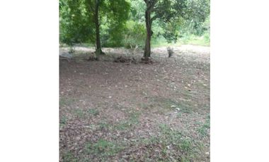 Lote En San Jerónimo