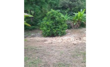 Lote En San Jerónimo