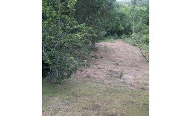 Lote En San Jerónimo