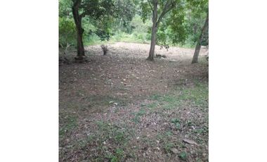 Lote En San Jerónimo