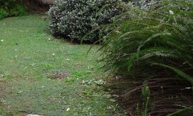 lote con vivienda de 3 ambientes a demoler o reciclar