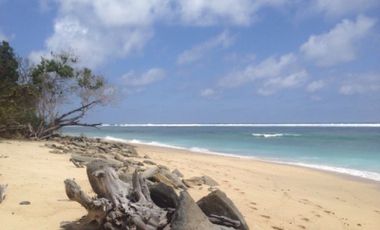 Beautiful and Marvelous Land for Sale in Lamaloku, West Sumba