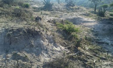 Tepeji del Rio Terreno en Venta SUPER OPORTUNIDAD !!        32,699 MTS.