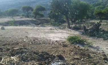 Tepeji del Rio Terreno en Venta SUPER OPORTUNIDAD !!        32,699 MTS.