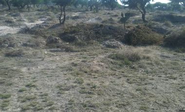 Tepeji del Rio Terreno en Venta SUPER OPORTUNIDAD !!        32,699 MTS.