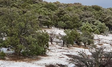 Rancho en venta Sierra Fría