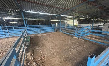 Rancho en venta Sierra Fría
