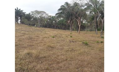 Vendemos  Finca Nuevo Emperador 4071JD