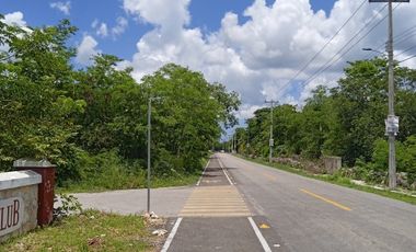 Terreno en venta, Bosques de Chicxulub (Pueblo)