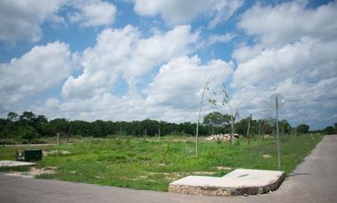 Terreno en venta, Bosques de Chicxulub (Pueblo)