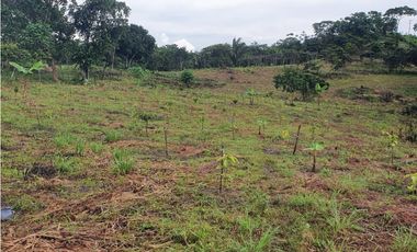 Se Vende Fabulosa Finca 3.5 Ha la Chorrera Iturralde USD$165.000.00