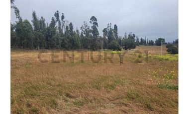 Excelentes Terrenos en venta, Santa Adela