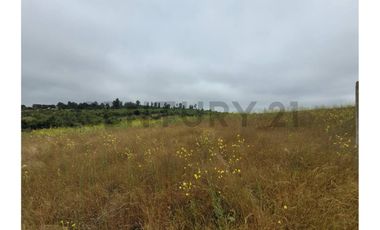 Excelentes Terrenos en venta, Santa Adela