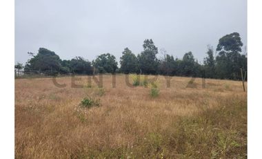 Excelentes Terrenos en venta, Santa Adela