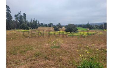 Excelentes Terrenos en venta, Santa Adela