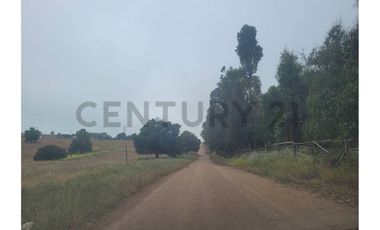 Excelentes Terrenos en venta, Santa Adela