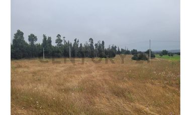 Excelentes Terrenos en venta, Santa Adela