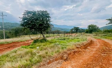 lote en venta en la garita. Cod V2936