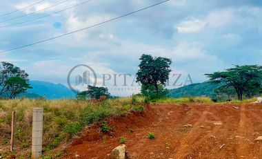 lote en venta en la garita. Cod V2936