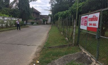 Land for sale in Nong Chom, Chiang Mai