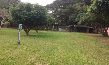 Land for sale in Nong Chom, Chiang Mai