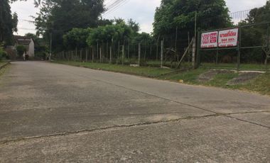 Land for sale in Nong Chom, Chiang Mai