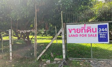 Land for sale in Nong Chom, Chiang Mai