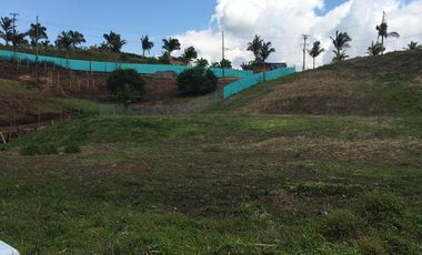 lote en venta en via armenia. Cod V2549