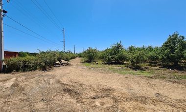 Parcela en Venta en Loteo San Joaquín de Los Mayos, Machalí