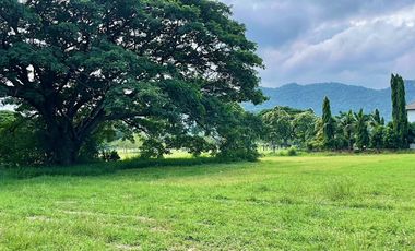 Land Plot in Palm Hills Golf Club Hua Hin
