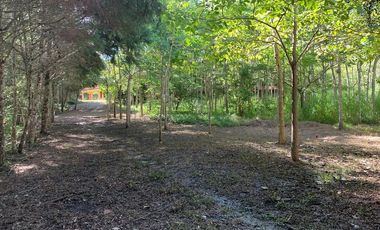QUINTA  DE OPORTUNIDAD EN SAN FERNANDO CHIAPAS