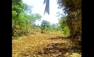 Cheap Land for Sale 25 Hectares In Cililin Bandung City