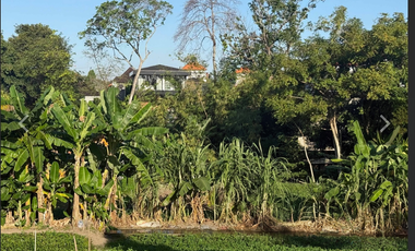 Leasehold - Rare Riverside Leasehold Land in Padonan, Canggu Area