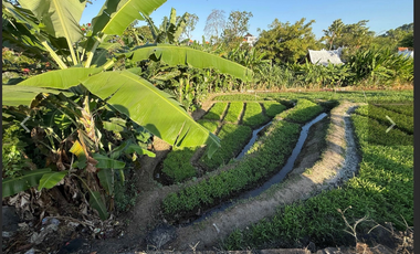 Leasehold - Rare Riverside Leasehold Land in Padonan, Canggu Area
