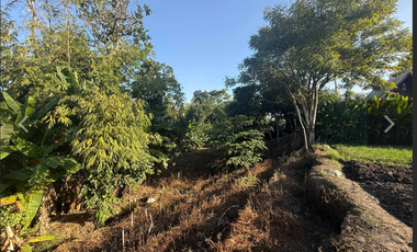 Leasehold - Rare Riverside Leasehold Land in Padonan, Canggu Area