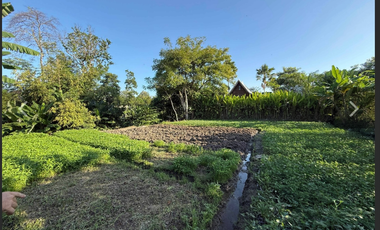 Leasehold - Rare Riverside Leasehold Land in Padonan, Canggu Area