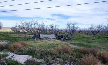 TERRENO EN VENTA EN PARRAS DE LA FUENTE, COAHUILA