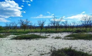 TERRENO EN VENTA EN PARRAS DE LA FUENTE, COAHUILA