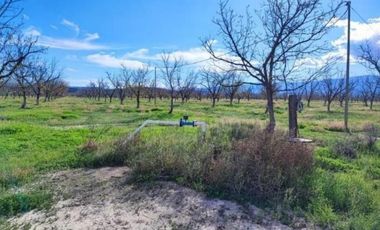 TERRENO EN VENTA EN PARRAS DE LA FUENTE, COAHUILA