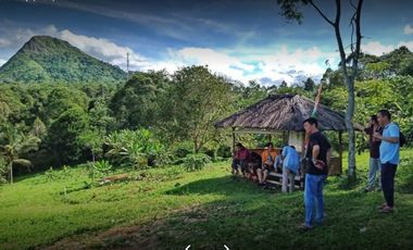 Tanah Kavling Kebun Produktif Harga Murah