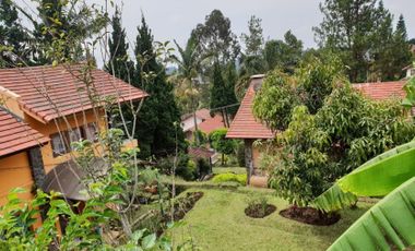 Villa Istana Bunga Parongpong Lembang dekat kawasan Setiabudi, Sarijadi, Setra Duta dan Sutami