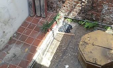 casa-local en arriendo/venta en plaza de la aduana. Cod V172