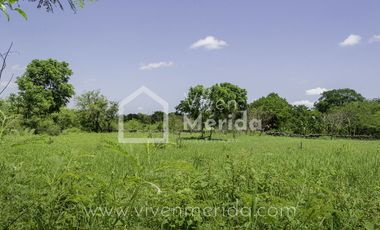 Terreno en venta en Tetiz Yucatán